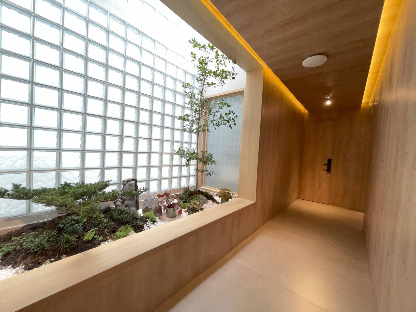 CASA TOKIO 01 G